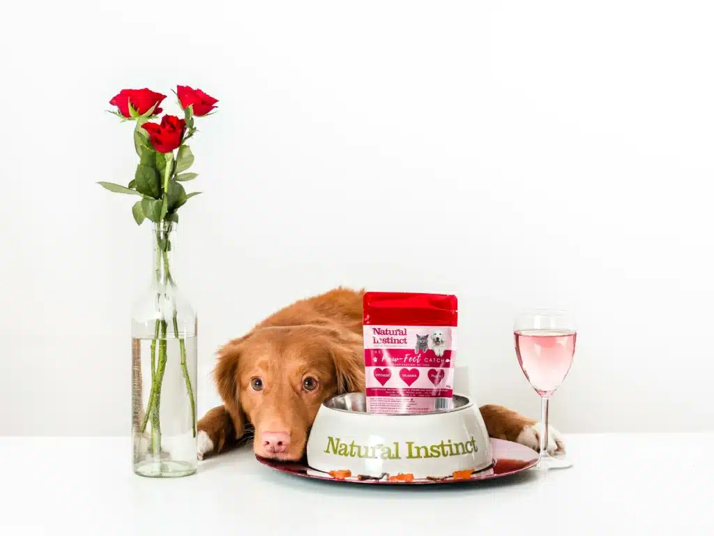 A reddish-brown dog lying on a white surface with its chin resting on the edge of a silver-colored feeding bowl, looking directly at the camera. The bowl is labeled "Natural Instinct" and contains packets of dog food alongside a clear glass of pink liquid. To the left, there is a tall, slim clear glass vase holding three red roses. The background is plain white.